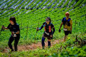 BIB: 
                            <button type="button" onclick="openModal(19164697)" class="btn btn-primary btn-sm float-right btn-popup" data-toggle="modal" data-target=".modal-high-quality">
                        <i class="fas fa-shopping-cart"></i> Add to Cart
                    </button>
                                            <button type="button" onclick="isThisMe(19164697, true)" class="btn btn-success btn-sm float-right btn-popup btn-isme hidden" data-toggle="tooltip" data-placement="bottom" title="นี่คือรูปของคุณใช่ไหม คลิกที่นี่เพื่อเอาเข้าอัลบั้ม">
                        <i class="fas fa-plus"></i> Add to album
                    </button>
                    <button type="button" onclick="isThisMe(19164697, false)" class="btn btn-warning btn-sm float-right btn-popup btn-isnotme hidden">
                        <i class="fas fa-ban"></i> Remove from album
                    </button>